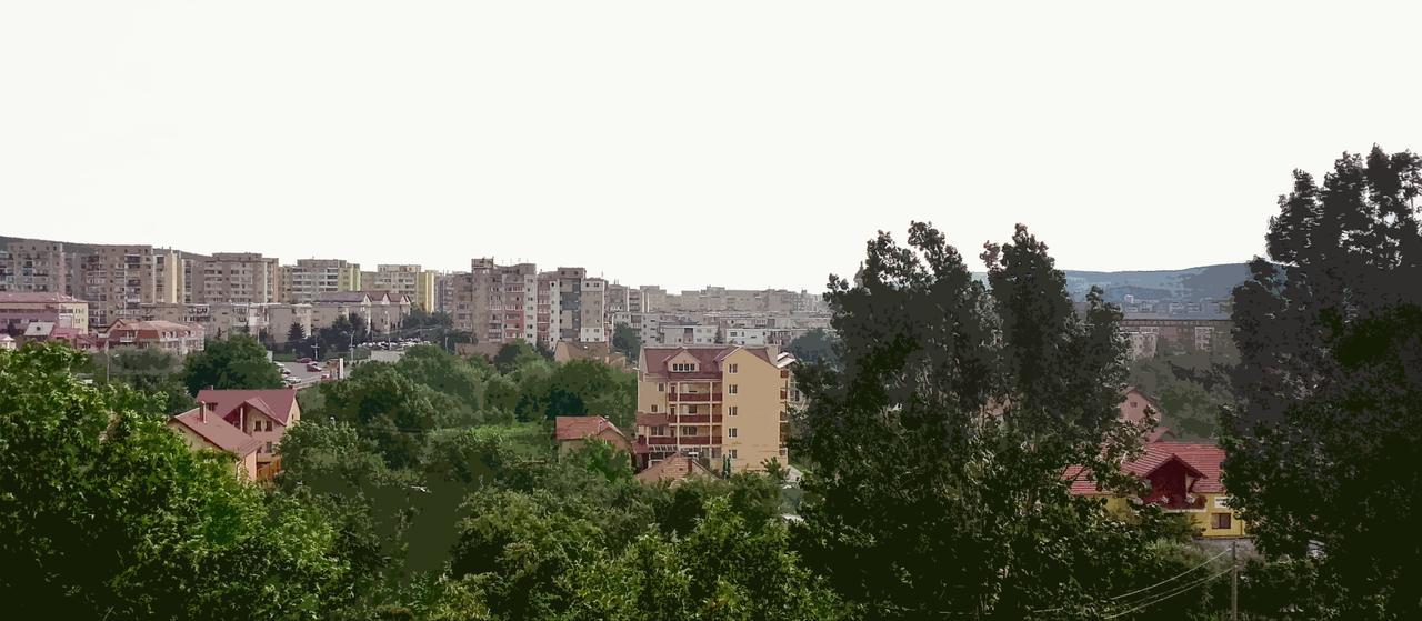 Готель Vila Rosa 2 Клуж-Напока Екстер'єр фото